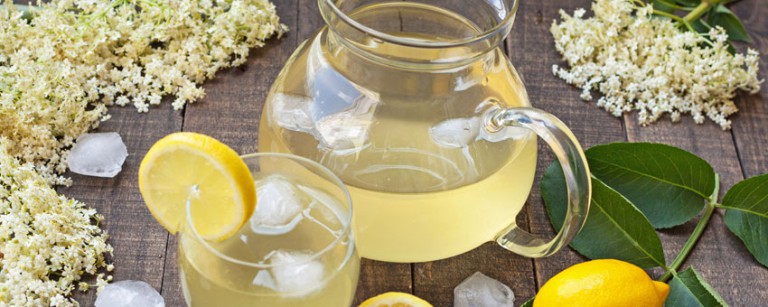 Recette de la limonade aux fleurs de sureau fraîches