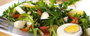 Salade de pissenlit au lard et aux noix